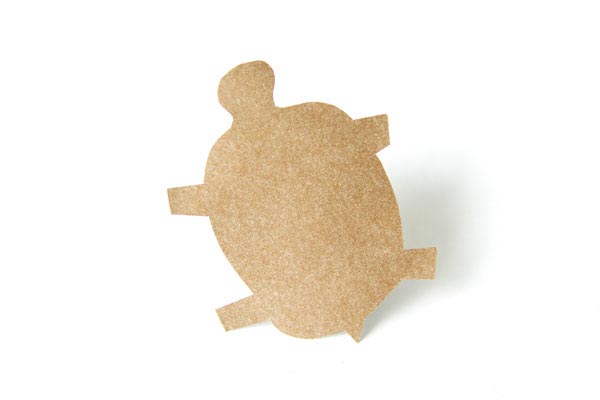 Turtle Kohlya