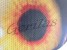 Fire eyes